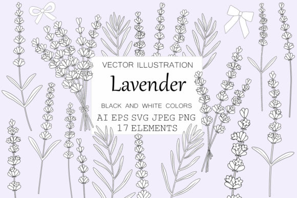 Download Lavender Graphics. Lavender Coloring SVG - Lavender graphics Collection